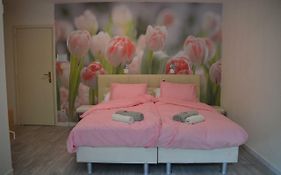 B&B The New Challenge